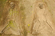 4000 year old Valdivian Skeletons, ancient culture along Ecuadorian Coast, Valdivia, nr San Pedro, Ecuador.