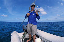 Richard Fitzpatrick with claw to catch Tiger Shark {Galeocerdo cuvieri} Great Barrier Reef & Coral Sea, Australia