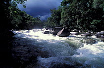 Mossman Gorge, river in flood after cyclone, Queensland, Australia