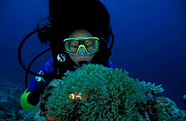 Diver with sea anemone and clownfish, Papua New Guinea