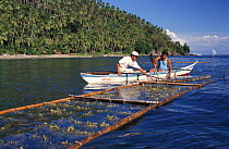 WWF-Philippines staff with sea weed farmer, a former illegal logger at Sibuyan Island, Philippines