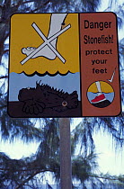 Warning signs of the dangers of stepping  on stonefish {Synanceja sp} along the coast, Christmas Island, Indian Ocean