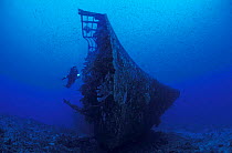 Diver at Shipwreck of the  'Der Yang', Kavieng, Papua New Guinea