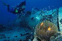 Diver at wreck of WW II Japanese fighter plane 'Nakajima Kate' + anemone with clownfish, Kavieng, Papua New Guinea