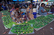 Papuan women selling Betel nuts in market, Rabaul, Papua New Guinea