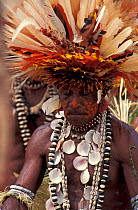 Tribesman at Sing-Sing celebration with feathered headdress and shell jewelery, Tufi, Oro Province, Papua New Guinea
