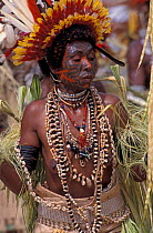 Female dancer at Sing-Sing celebration with tattoed face, feathered headdress, grass skirt and shell jewellery. Tufi, Oro Province, Papua New Guinea