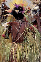Dancer at Sing-Sing celebration with grass skirt, feathered headdress and shell jewellery. Tufi, Oro Province, Papua New Guinea