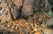 Skull Cave in Hiliwau Village - people were traditionally buried standing up with their heads sticking out covered with pots, and skulls were taken when corpse turned into skeleton, Milne Bay, Papua N...