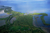 Aerial view of Mindanao Island, Philippines, with palm plantations
