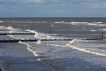 Wooden groynes - method of coastal defense against erosion -  with choppy sea in sunshine, Norfolk, Uk