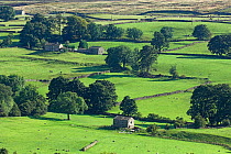 Yorkshire Dales landscape with barns and dry stone walls, UK.