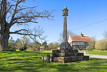Great Walsingham village green with Oak tree and monument, northern Norfolk, UK.