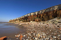 Hunstanton cliffs, showing the red chalk, white, chalk and carr stone structure of the cliffs, Norfolk, UK.