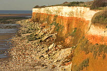 Hunstanton cliffs at low tide showing the red chalk, white chalk and carr stone structure of the cliffs, Norfolk, UK.