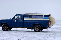 Polar bear {Ursus maritimus} investigates a wildlife observers truck, Arctic National Wildlife Refuge, Alaska. Sequence 3/5.