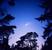 Comet Hale Bopp seen from Southern England, February 1997