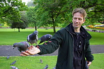 Feral pigeons / Rock doves {Columba livia} perched on man's arm in city park. Edinburgh, Scotland, UK. Model released.