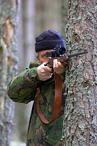Deer stalker in pine forest taking aim with gun, Cairngorms NP, Scotland, UK. Model released.