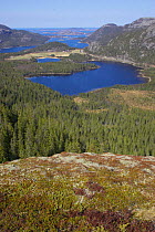 View across upland fjell, forest and tidal fjords, Lausvnes, Flatanger, Nord-Trondelag, Norway