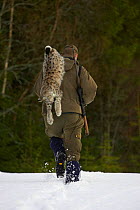 Norwegian hunter with recently shot lynx as part of government quota system, Nord-Trondelag, Norway