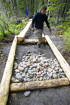 Volunteer worker repairing forest footpath in well visited area of Grand Teton National Park, Wyoming, USA