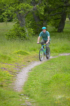 Man cycling along woodland trail, Cairngorms National Park, Scotland, UK. mountain bike