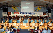 Competitors at the Golden Shears International Open Sheep Shearing Championships, Masterton, New Zealand, 2004