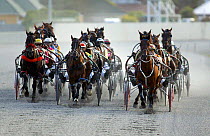 Competitors Harness horse racing at Forbury Park, Dunedin, New Zealand, 2004
