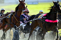 Competitors Harness horse racing at Forbury Park, Dunedin, New Zealand, 2004