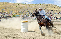 Competitor at Wanaka Rodeo, Wanaka, New Zealand.