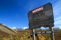 Warning sign on road in Denali NP, chewed by grizzly bears and exposing nails, Alaska, USA.