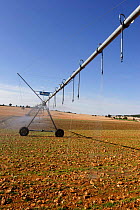 Irrigation sprinkler on a cereals field, Spain.