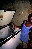 Chimpanzee (Pan troglodytes) meat for sale in shop, Central Africa.