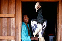 Timber company employee with Hornbill he has hunted for bushmeat, Central Africa. Wildlife represents a marketable asset and a supplement to low incomes.