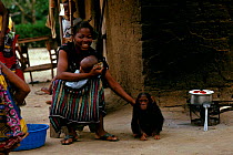 Orphaned pet chimpanzee (Pan troglodytes) with owner, Central Africa. Chimpanzees have become a status symbol in some parts of Central Africa.