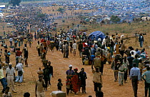 Refugee camp in Democratic Republic of Congo after the genocide in Rwanda.