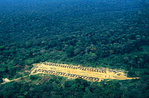 Aerial view of clearing and logging operations in tropical rainforest, Central Africa.