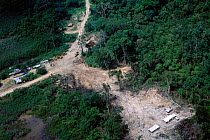 Aerial view of logging camp, Gabon, Central Africa. Camps attract hunters, who sell bushmeat to the local workforce and clear-cut large forest sreas for slash and burn farming. Logging vehicles are al...