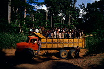 Loggers and bushmeat hunters travel in lorry together to the tip of access roads to cut trees and hunt wildlife, Central Africa tropical raingorest.