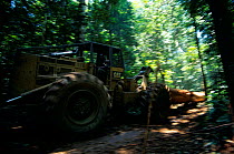 Logging tractor removing felled timber from extraction zone. The collateral damage from this process includes destruction of the understorey, saplings and smaller trees in the tropical rainforest.