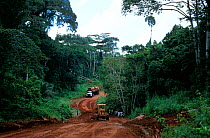 Logging truck loaded with timber on road through tropical rainforest, Central Africa. Overloaded trucks put strain on national road maintenance budgets, requiring subsidizing of logging with donor fun...