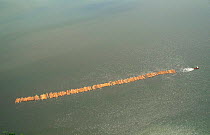 Aerial view of timber being transported by river to local seaport, Central Africa.