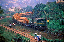 Train carrying huge rainforest logs to seaport, Cameroon, Central Africa. Bushmeat travels alongside timber and is distributed nationally and internationally. Due to poor law enforcement, governments...