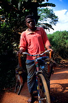 Hunter with two moustached monkeys (Cercopithecus cephus) on bicycle, Central Africa.