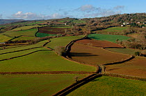 Aerial view of patchwork of  fields and hedges, Devon, UK.