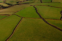 Aerial view of patchwork of  fields and hedges, and country lane, Devon, UK. winter