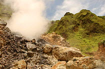 Steaming hotspring, Desolation Valley, Dominica.