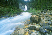 Laughing Falls, Yoho National Park, British Columbia, Canada