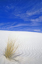 Sand ripples, White Sands NM, New Mexico, USA